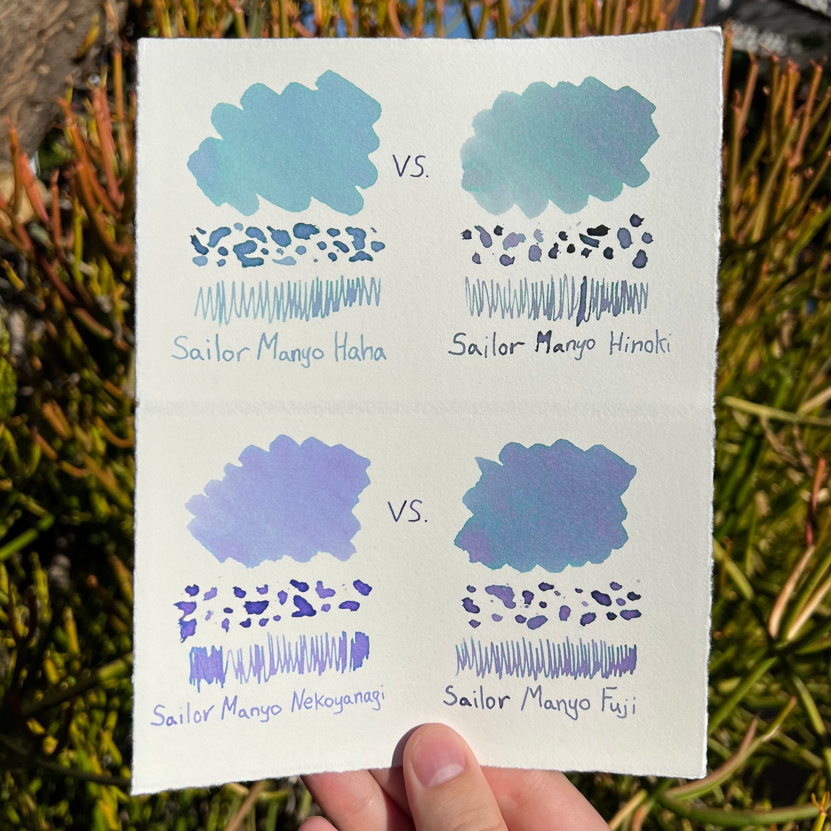 Sailor Manyo Nekoyanagi Vs. Fuji Ink Swatch Comparison